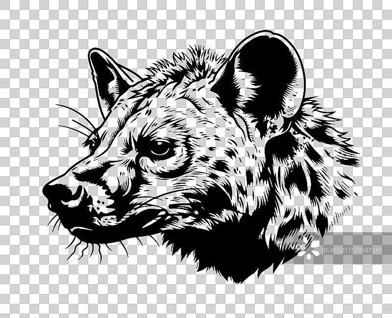 鬣狗标志图标图片素材