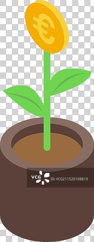 植物上生长的欧元硬币，展示投资图片素材