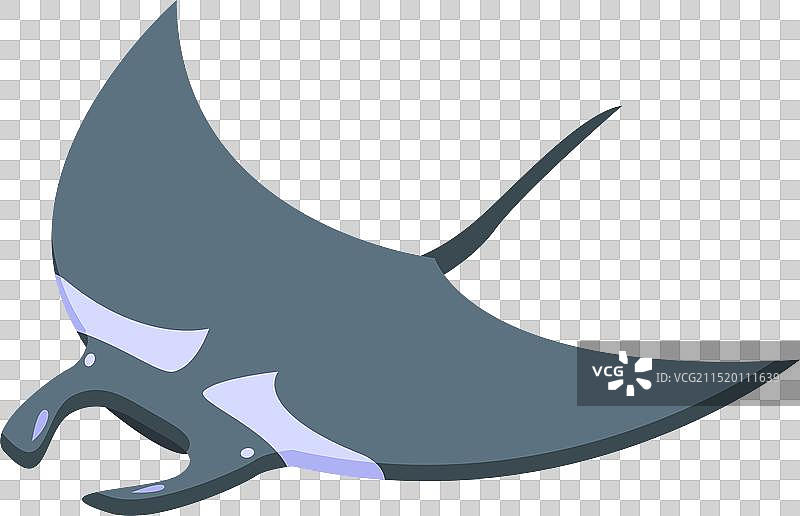 在海洋中畅游的巨型蝠鲼图片素材