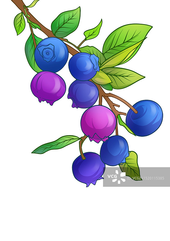 蓝莓图片素材