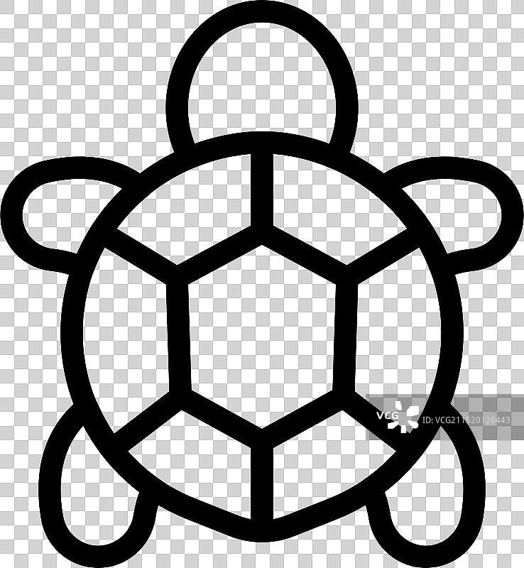 展示带壳两栖动物的海龟图标图片素材