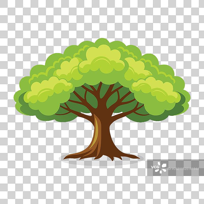 白色背景上的扁平风核桃树图片素材