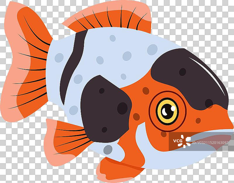 扁平风格小丑鱼图标图片素材