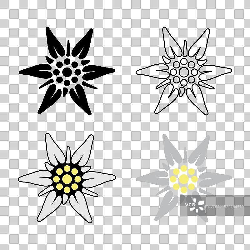 雪绒花图标集图片素材