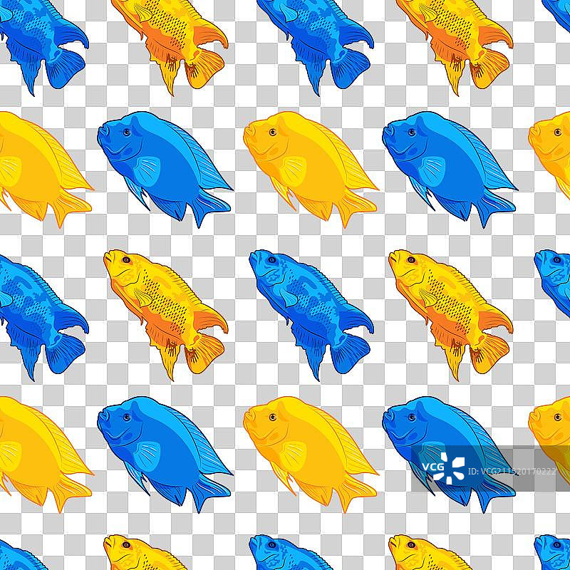 热带鱼水族箱夏季无缝图案图片素材