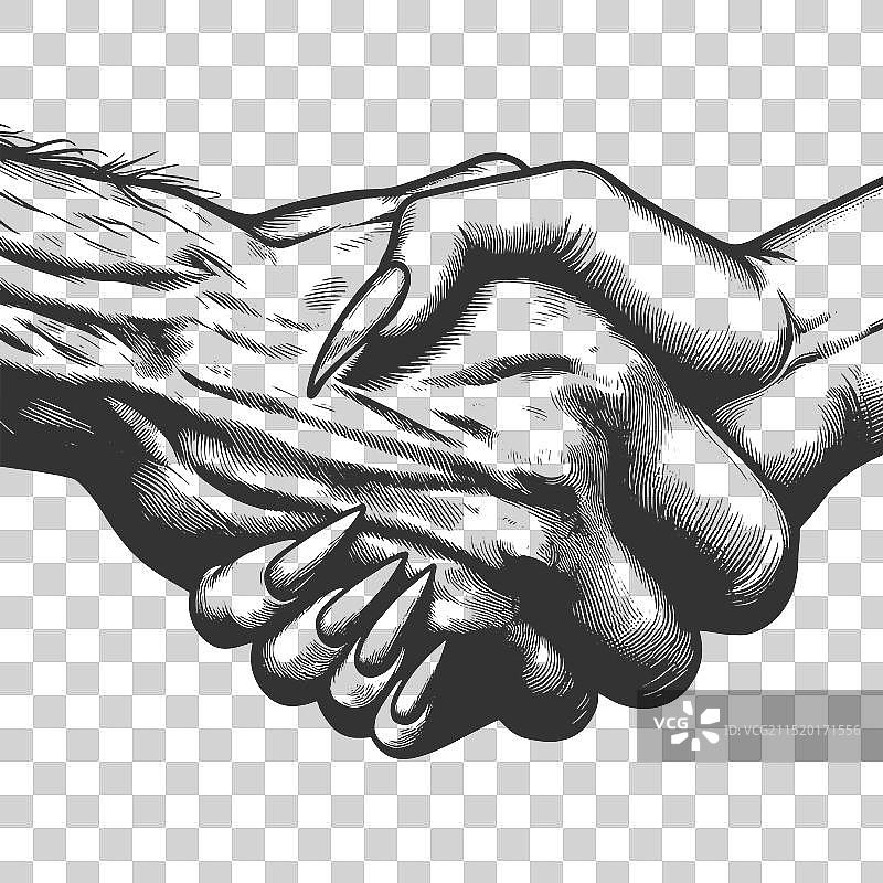 男人与女人之间的握手图片素材