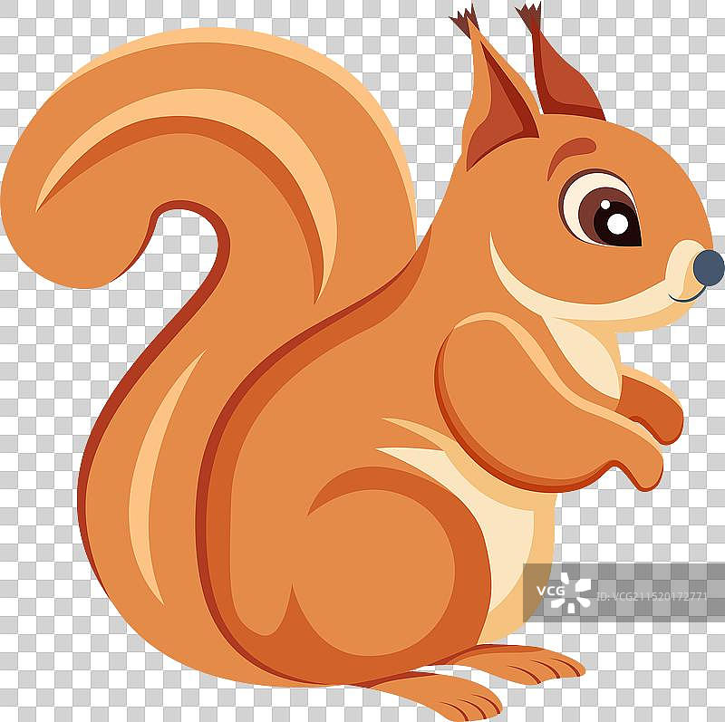 可爱的扁平风松鼠图标图片素材