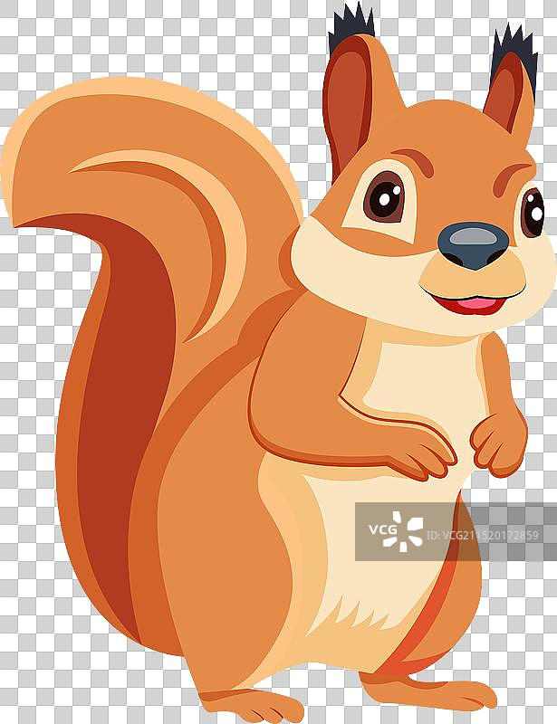 扁平风格的可爱松鼠吉祥物图片素材
