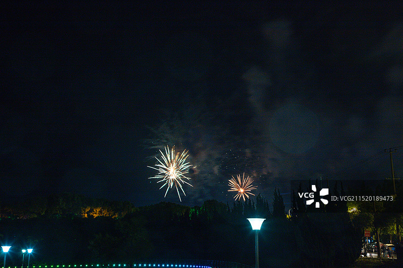 上海市金山城市沙滩-夜晚绽放的烟花图片素材