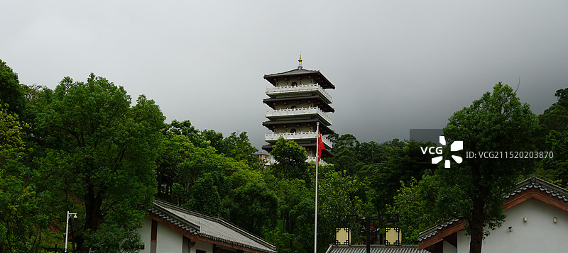 惠州市大亚湾红树林城市湿地公园图片素材