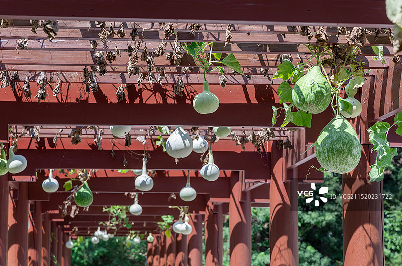 大连横山北普陀主题文化公园景区图片素材