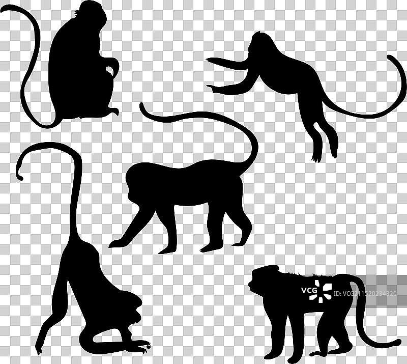 猴子剪影图片素材