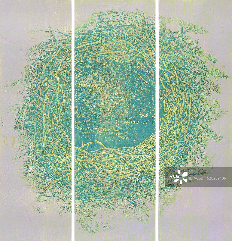 《选择飞翔》图片素材