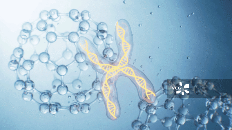 人类染色体和分子生物模型视频图片素材