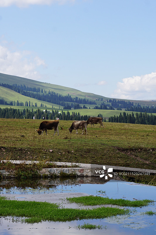 伊犁那拉提国家湿地公园景区图片素材