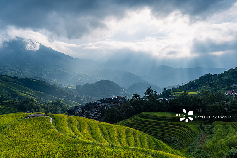 龙脊梯田图片素材