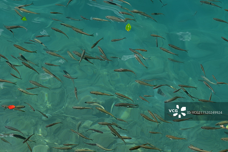 九寨沟图片素材