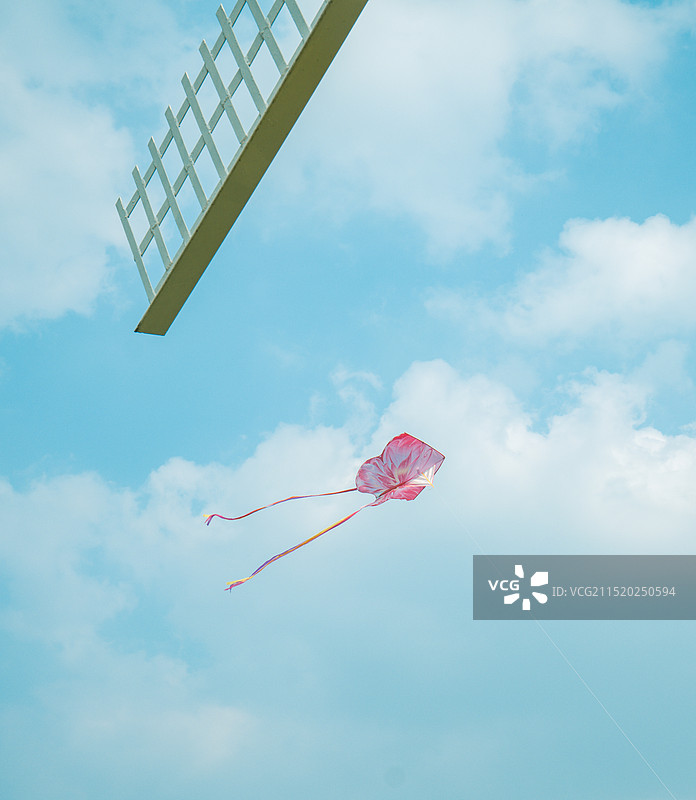 夏日稻田图片素材