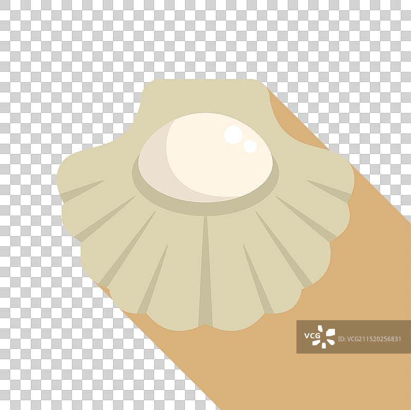 贝壳内生长的白色大珍珠图片素材