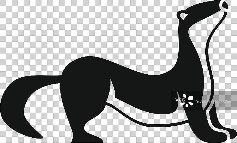 站立向上看的黑白雪貂图标图片素材