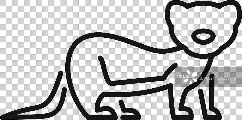 四肢站立、向前看的雪貂图标图片素材