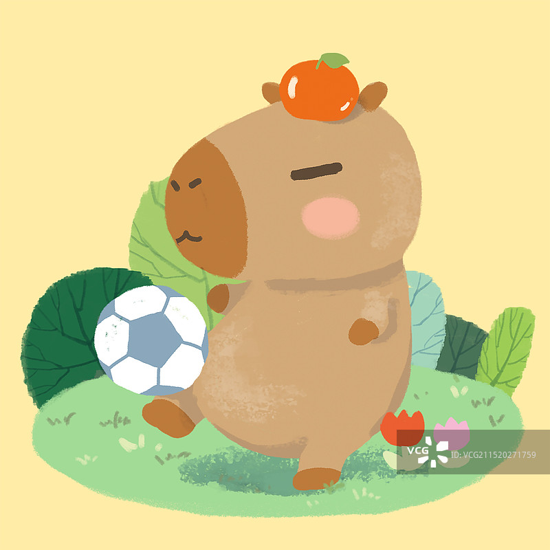 运动的卡皮巴拉图片素材