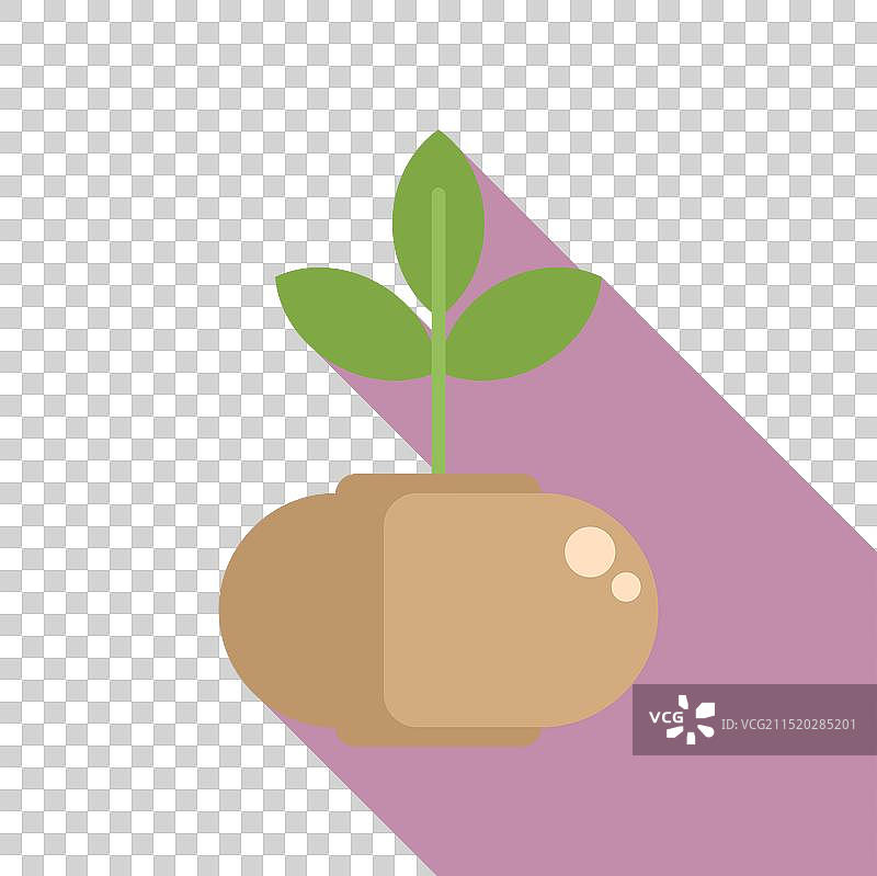 从马铃薯中长出的幼苗扁平设计图片素材