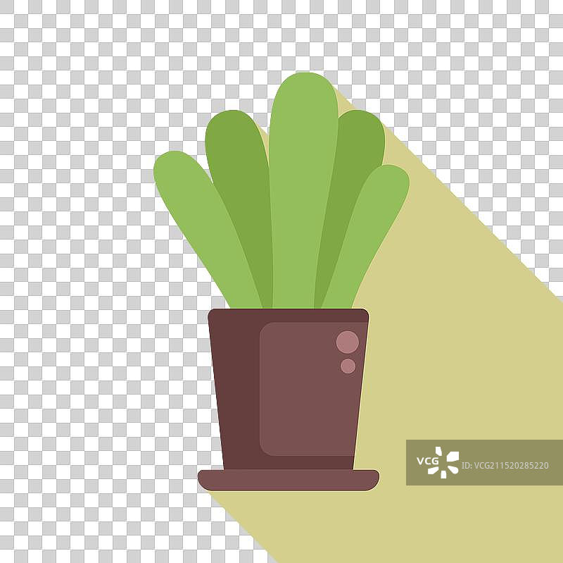 带长阴影的盆栽绿色植物图片素材