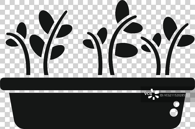 水培盘中生长芽苗菜图标图片素材