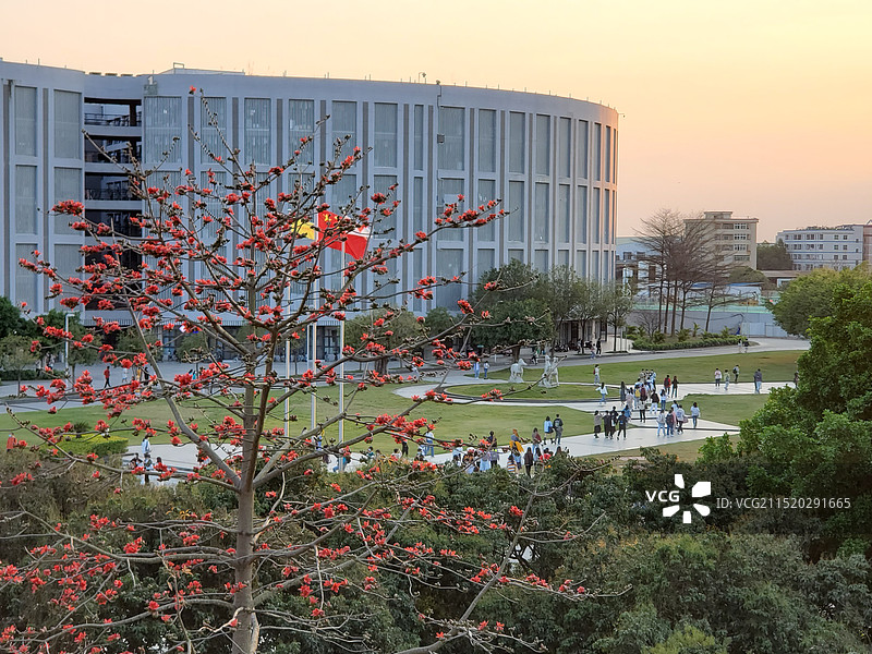 公园里的人们在天空的映衬下图片素材