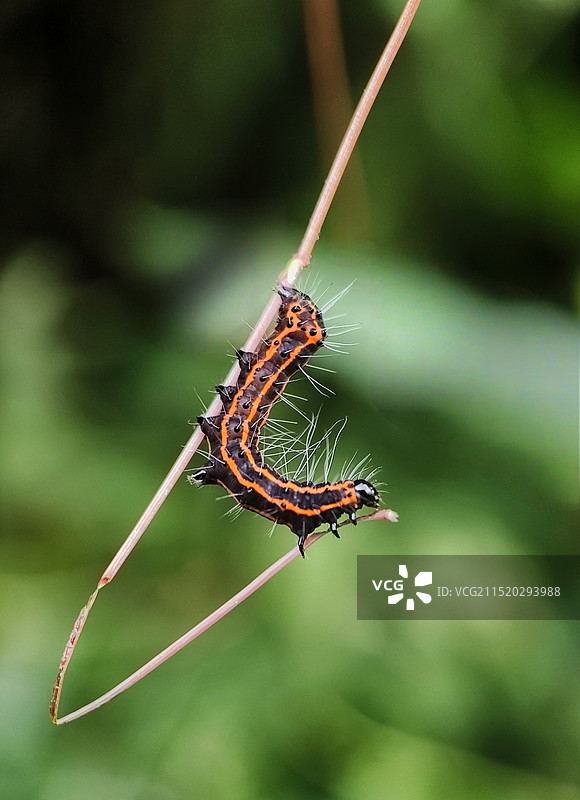 高空杂技图片素材