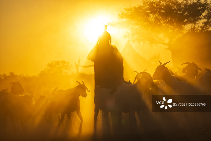 晨光牧羊曲图片素材