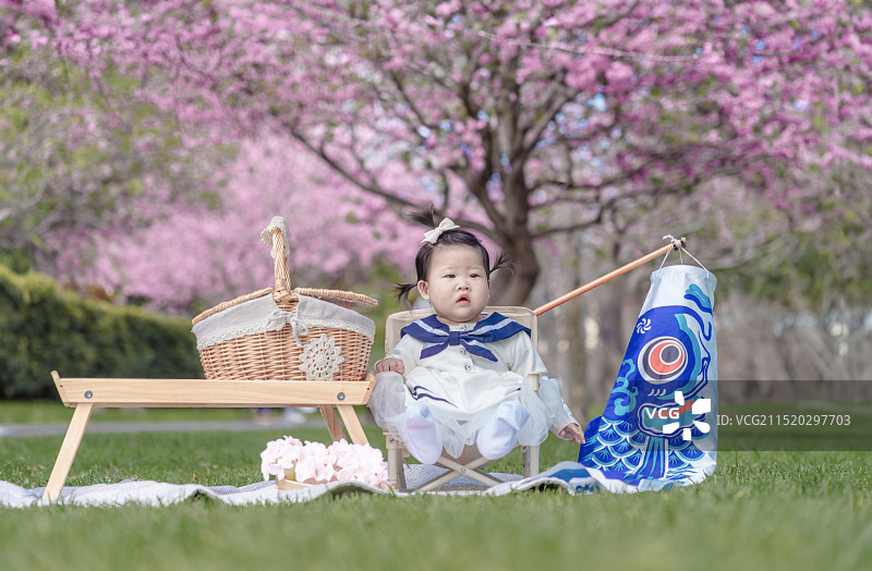 坐在樱花树下草坪藤椅上的女婴与鲤幡图片素材