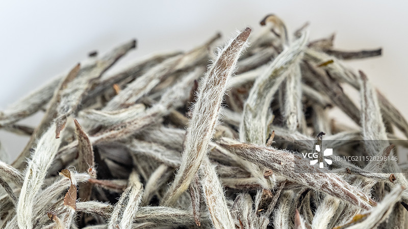 三年陈白毫银针图片素材