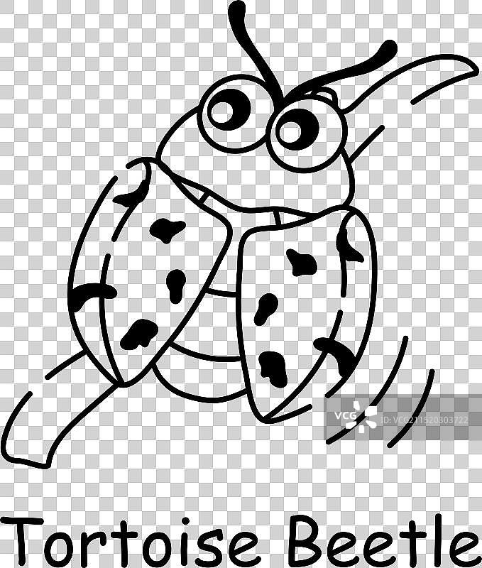 龟甲虫图片素材