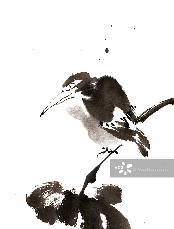 荷叶与小鸟图片素材