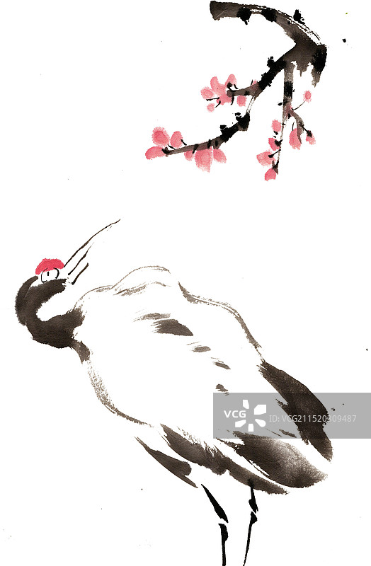 梅花与仙鹤图片素材