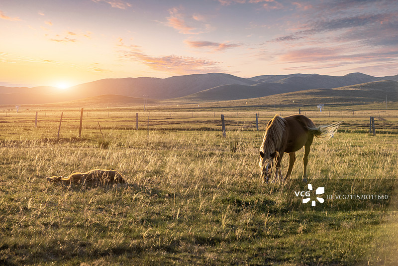 内蒙古自治区锡林郭勒盟正镶白旗国家天文台明安图观测站秋季牧场户外风光图片素材