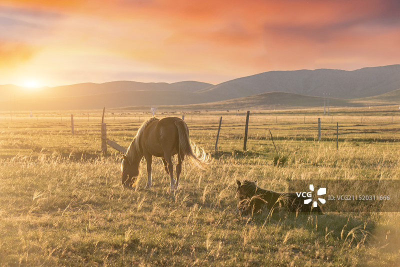 内蒙古自治区锡林郭勒盟正镶白旗国家天文台明安图观测站秋季牧场户外风光图片素材