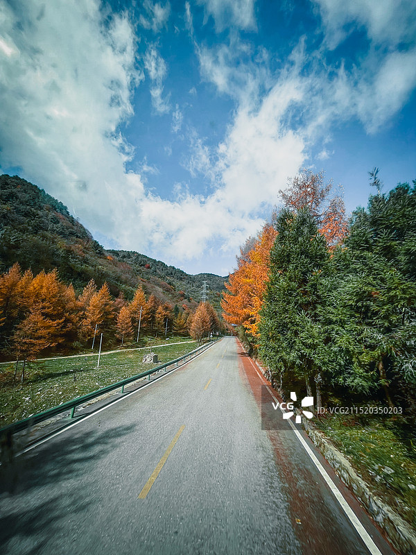 重庆巫溪红池坝国家森林公园公路秋天秋色风光图片素材