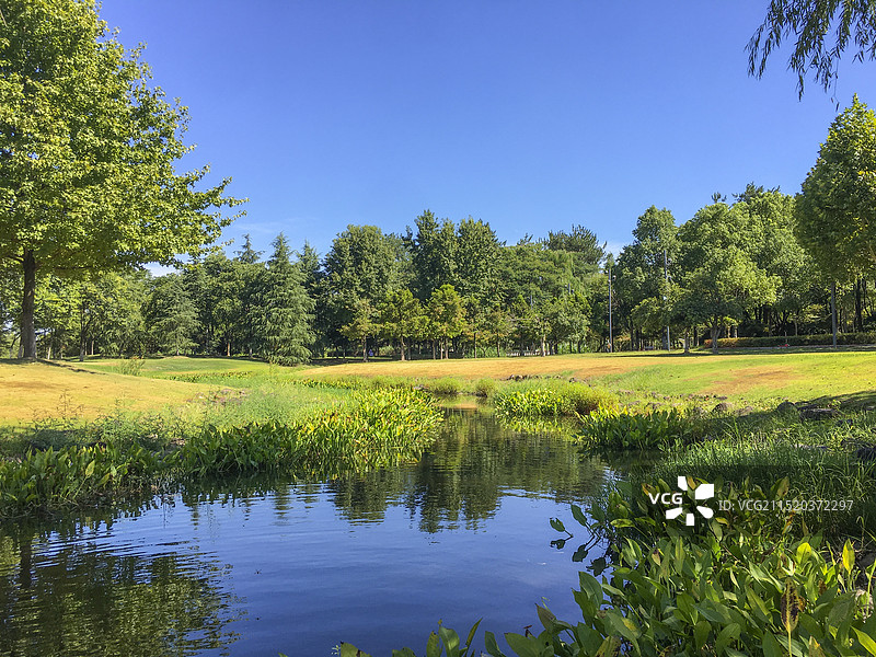 浙江东阳市江滨公园绿化带秋季风景图片素材