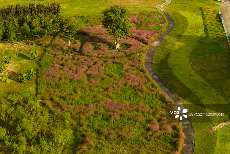 郑州黑川纪章纪念馆花田图片素材