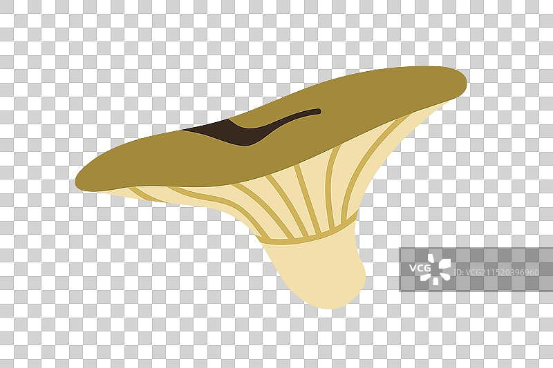 黄色蘑菇秋季森林夜景图标图片素材