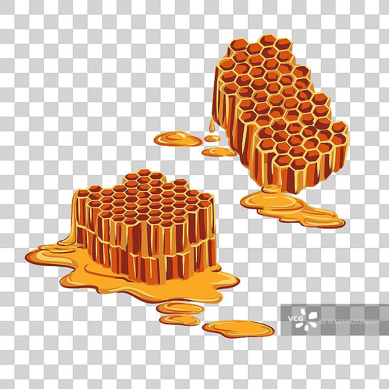 蜂巢绘画图片素材