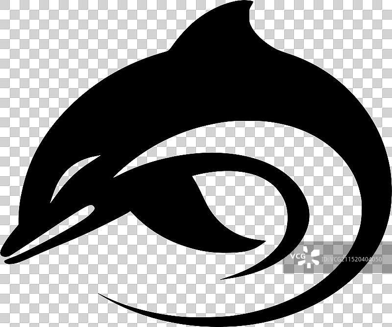 黑白海豚图片素材