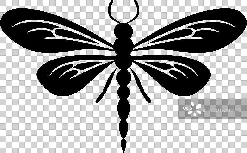 蜻蜓黑白隔离图标图片素材