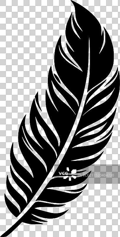 羽毛 - 黑白图片素材
