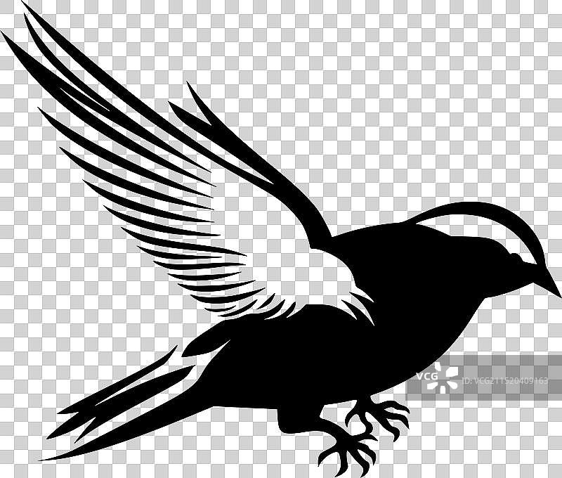 高品质鸽子logo，适用于T恤图片素材