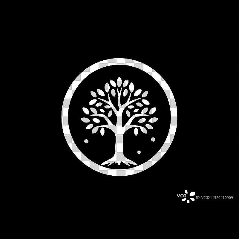 树 - 黑白图片素材