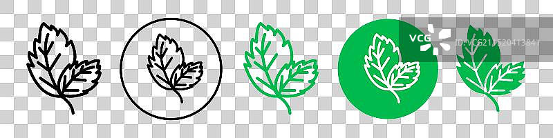 薄荷产品标签图标图片素材